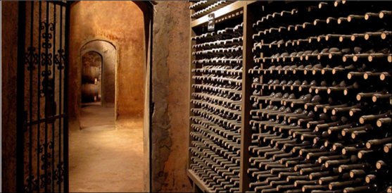 Cellar white wines